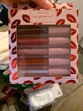 Beauty Concepts Pink Lip Gloss Set – Shimmering Pink Shades